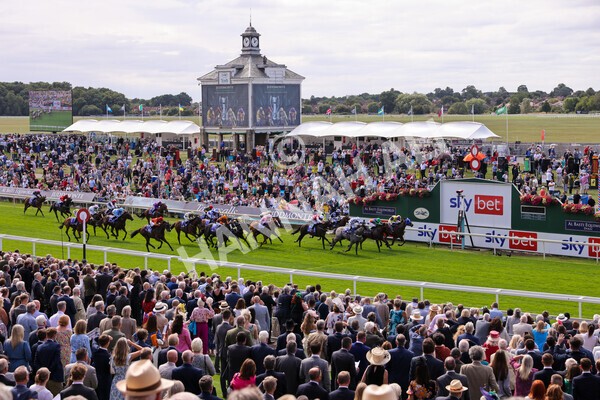 yr17082022r1-046 - Race 1 1.50pm Sky Bet & Symphony Group Stakes