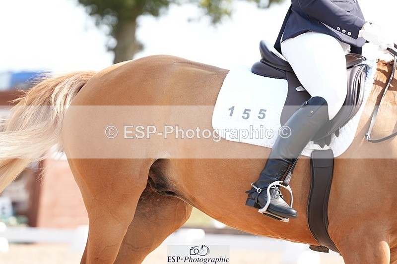 250817-110833-08477 - 155-Tamsin.OConnorRiversides.Caballero