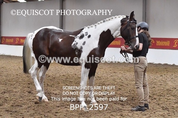 BPP_2597 - LOOSE JUMPING / SPSS