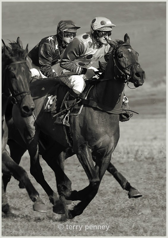  - Equestrian Sport