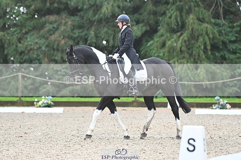 231019-103513-01894 - 101-RICARDO.COLOURS.II-Elizabeth.Wadey-DR