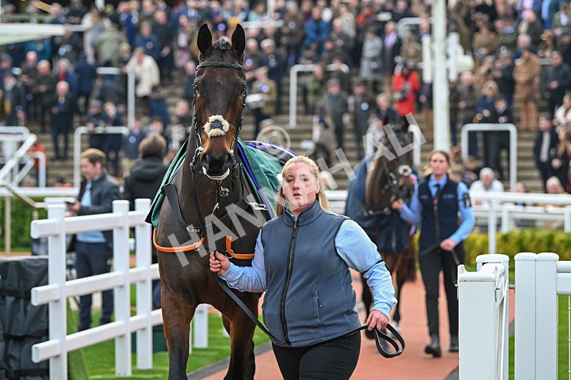 161124-Race 3-Paddock-Ballymackie-9744 - Race 3