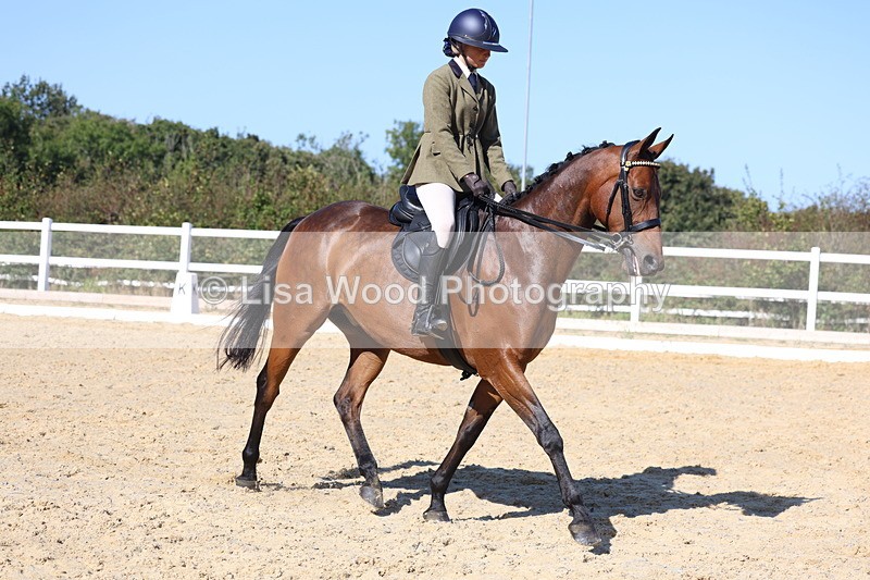 3E7A5732 - Class 10: Riding Horse