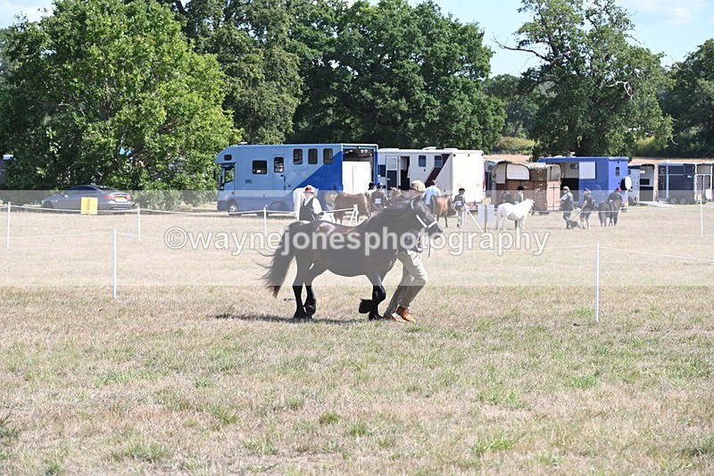 WJ6_5156 - Class 17 Mountain & Moorland