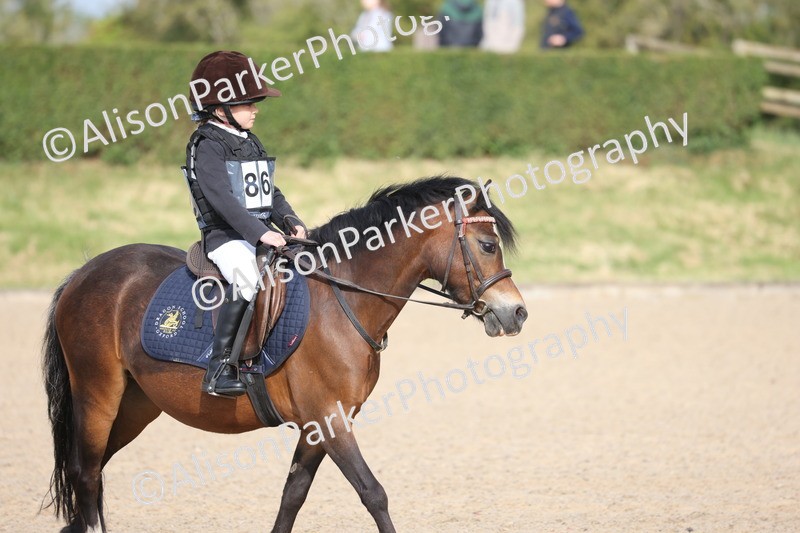 20250526-0020 - Class 1 - 40cm