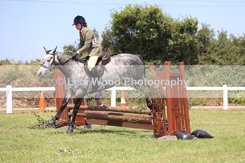 JPP_2484 - Class 21: Working Hunter 60cm