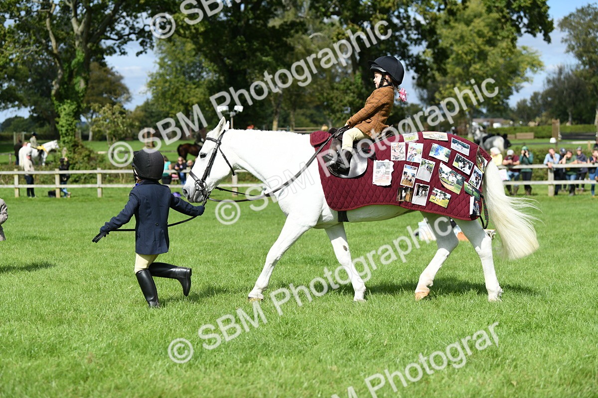 SBM_46788 - S12 - Family Horse & Pony