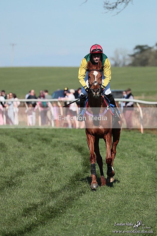 PtP 210326 131 - VWH Cirencester Races 21/03/26