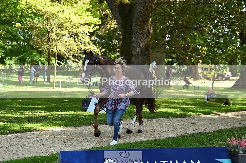 230524-154254-00448 - 376-DIRECT_BALLYTARSNA_DUCAREL-Jodie_Amos-WEDTrotUp+DR