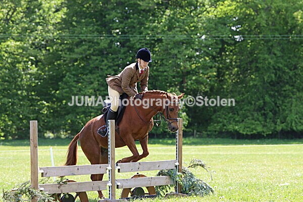 IMG_3795 - Working Hunter