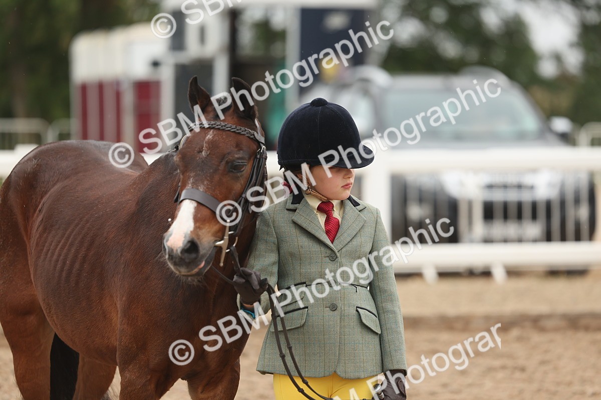SBM_00542 - Class 13 Young Handler