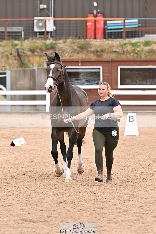 250716-144726-01398 - Trot Up 2.30 to 3.30