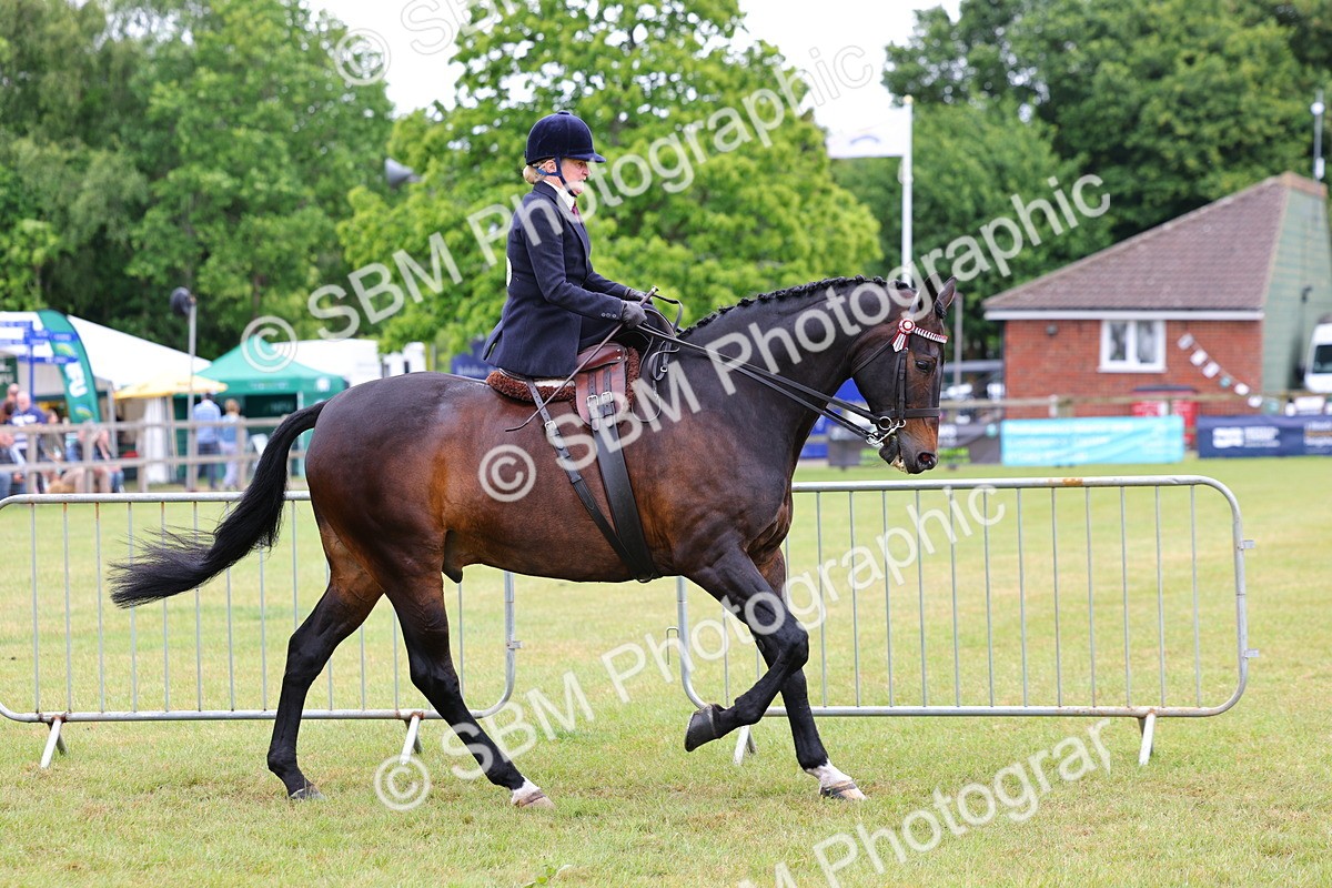 SBM_02818 - Class 9-11 Side Saddle including LIHS Rising Star Ladies Show Horse