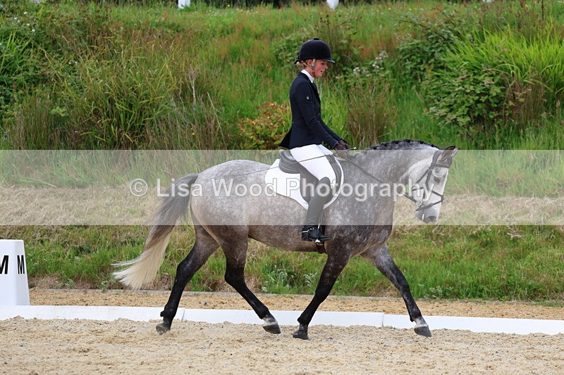 3E7A1703 - Class 2: Intro 2 2024 Section B