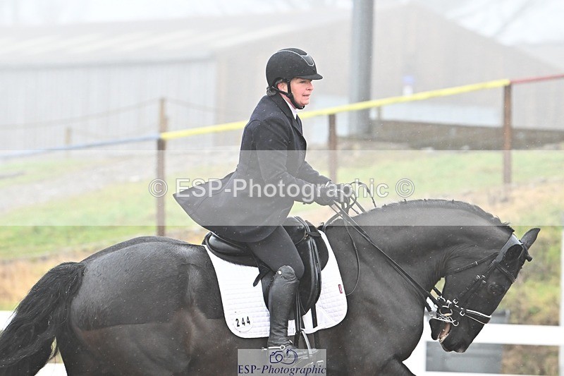 250215-103431-03054 - 244-Suzanne.Clark-Ballinamurra.Billy