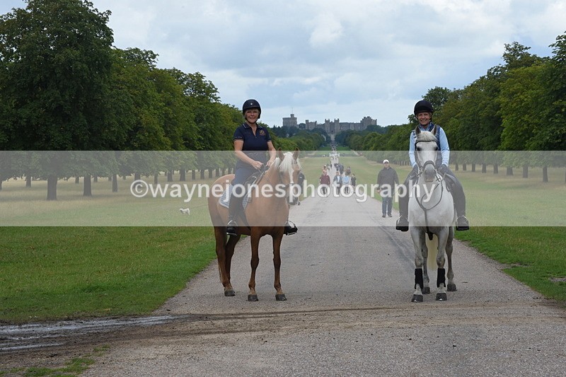 TT3_8963 - Time at Crossing 09:22 to 11:26