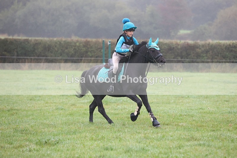 JPP_5012 - Class 1: 65cm : Showjumping