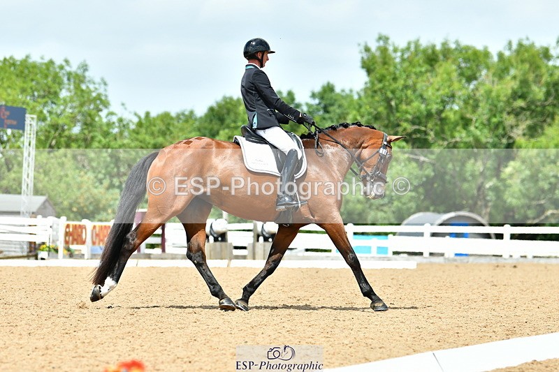 230702A-133954-10061 - Cls 31 Medium 69