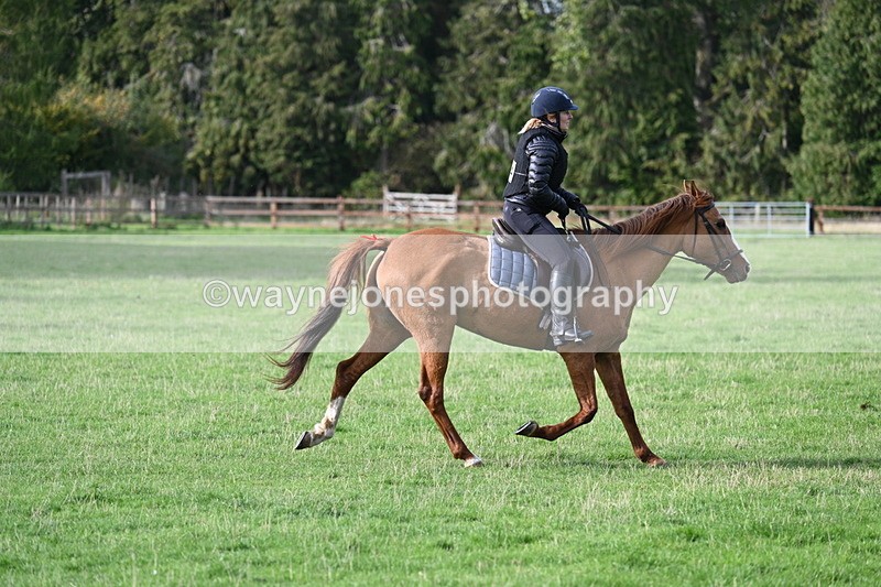 WJ7_1122 - Time 14:27 to 15:11