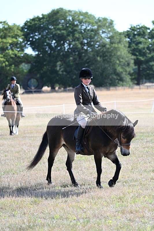 WJ7_2924 - Class 8 Ridden Tack & Turnout