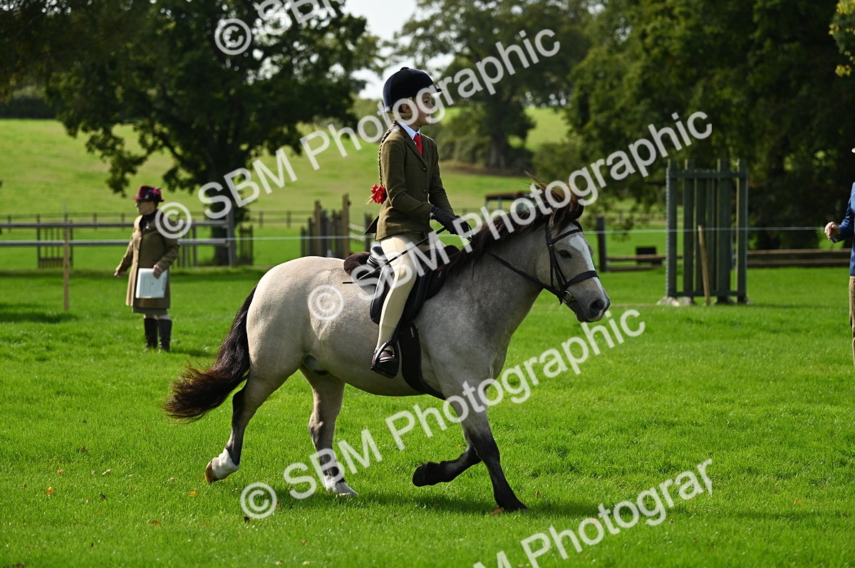 SBM_02687 - S3 - TSR Ridden Pony Showing