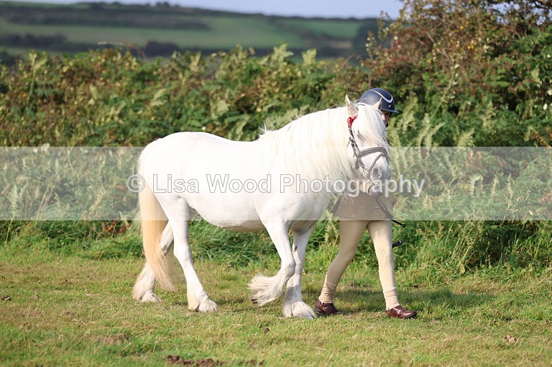3E7A3204 - Class 12: M & M Small Breeds