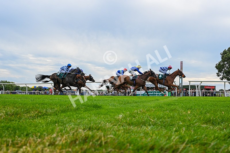 260826-Race 4-Niffler-5972 - Race 4 15:45 Hats Of Yorkshire Handicap
