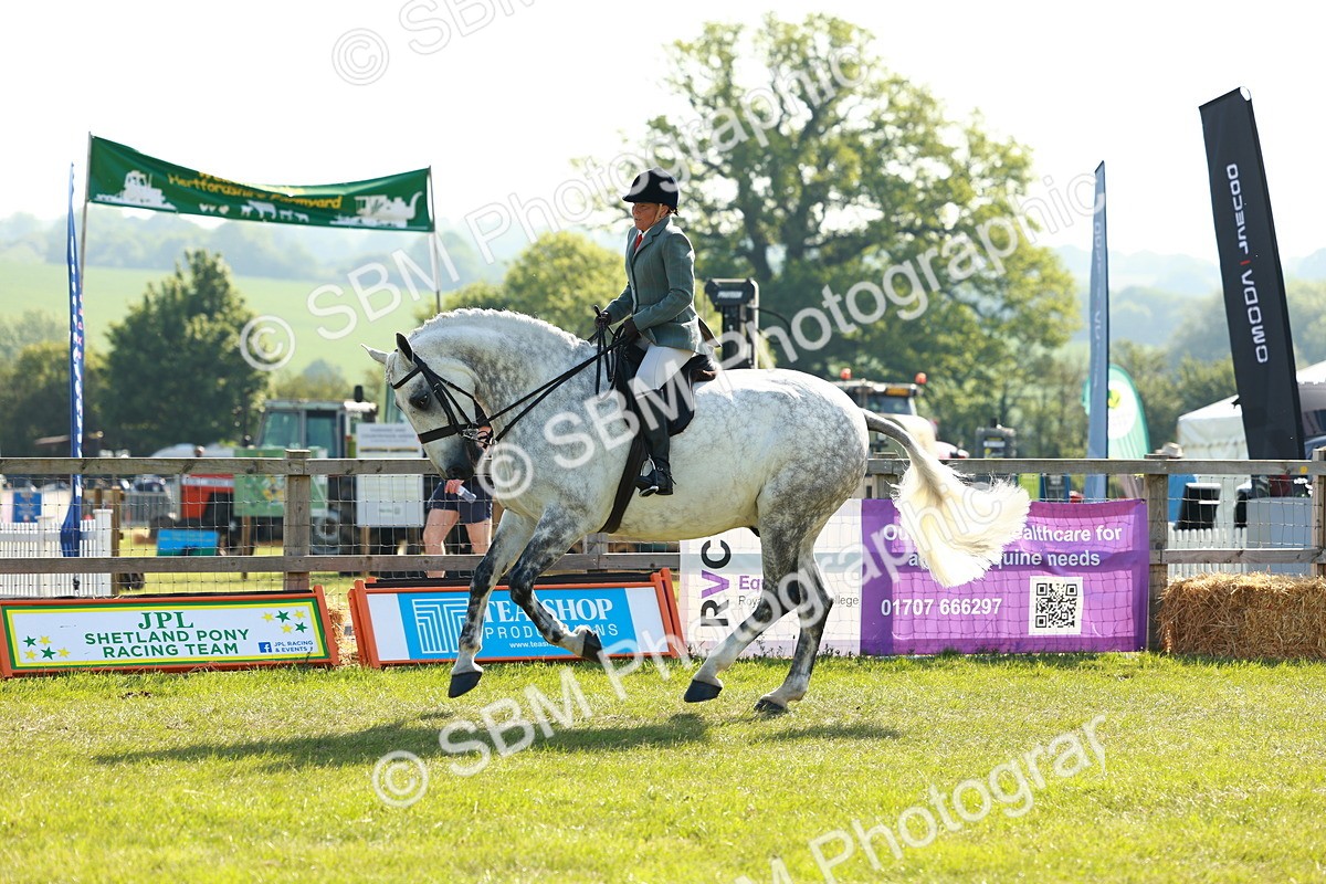 SBM_11780 - Class 66-69 - RIHS Ridden Hunters Inc Small Hunter