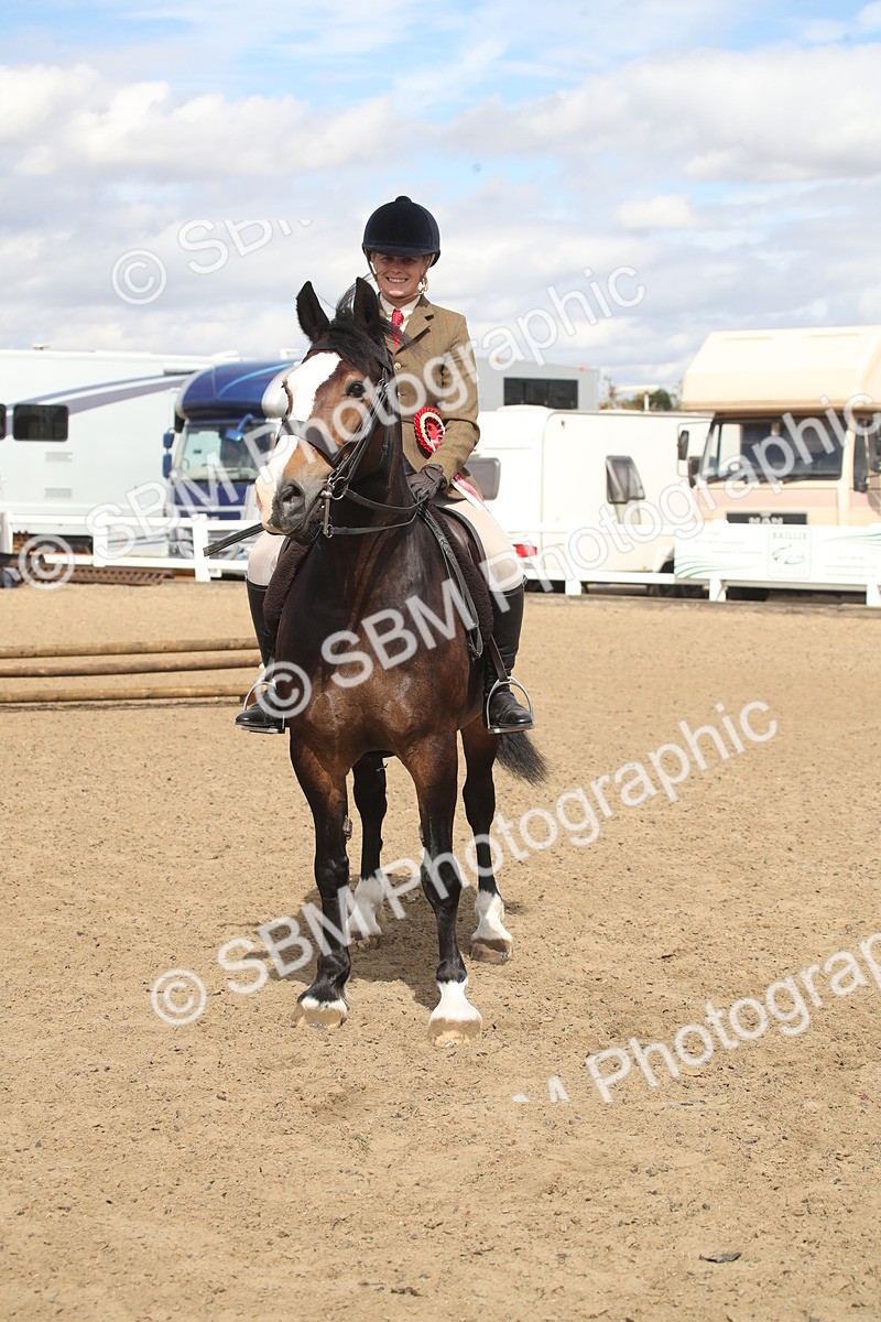 SBM_14598 - Class 505a - M&M Working Veteran - 50cm (15-19)