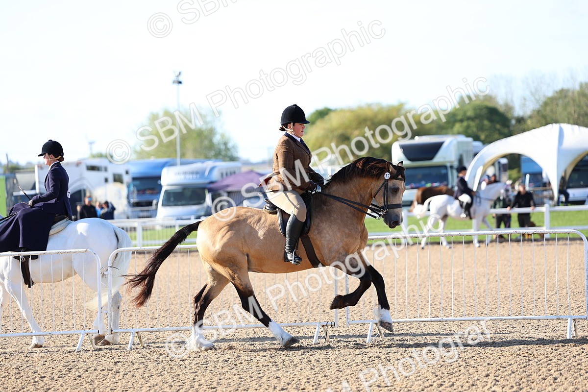 SBM_08764 - Class 302 - Ridden M&M - Large Breeds