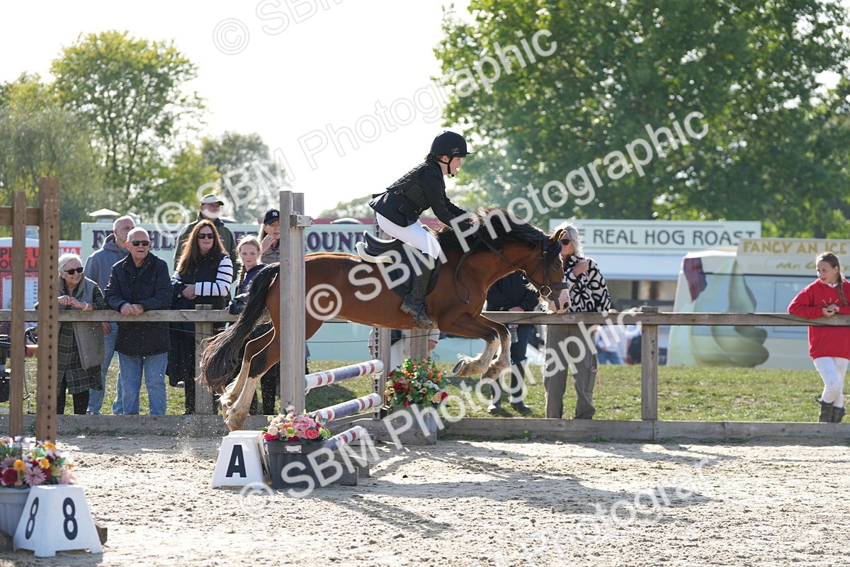 SBM_49389 - J8 - Junior Pony 65cm Championship