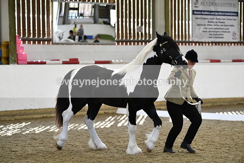 WJ5_4842 - Class 7 In hand coloured / odd coloured