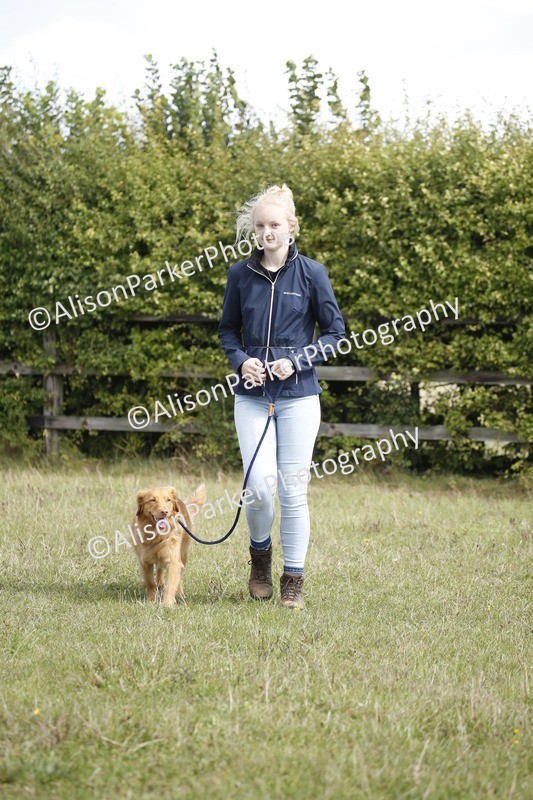 20250831-3764 - Dog Show