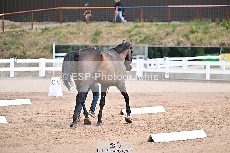 250716-130714-00345 - Trot Up 12.30 to 1.30