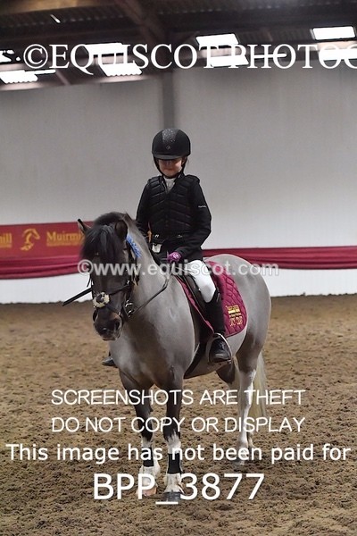 BPP_3877 - CLASS 25 PONY Club/ Unaffiliated 60cms Open Club/ Unaffiliated 60cms Open