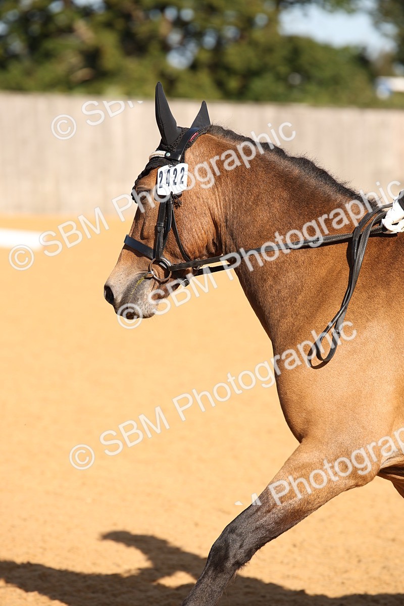 SBM_01894 - D2 Small Tour Championship Intro C