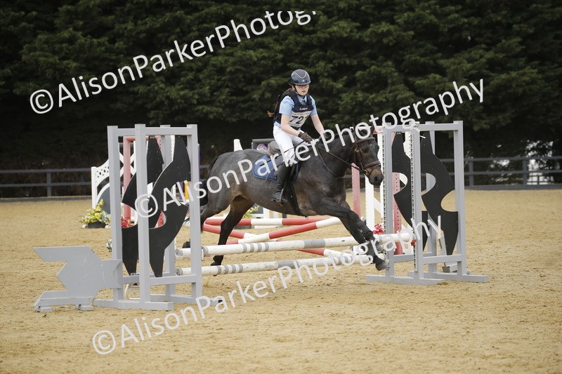 20250622-6077 - 60cm