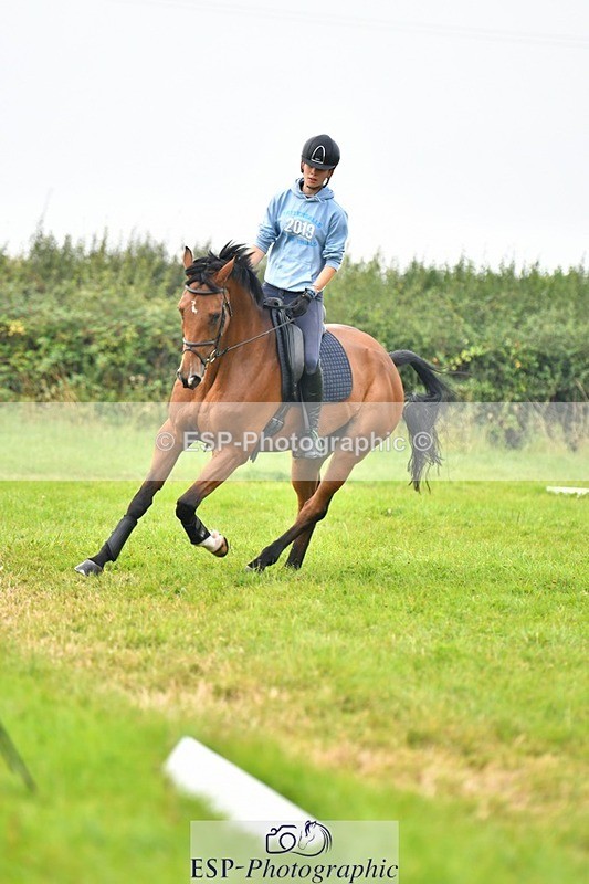 230817-090739-02481 - Abbie's 1st Group - Dressage