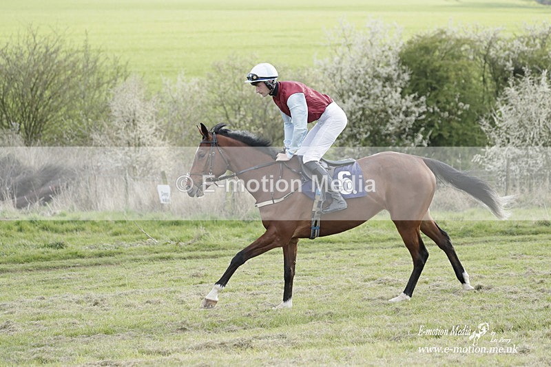 PtP 080423 925 - Dingley Races The Woodland Pytchley Hunt PtP 08/04/23