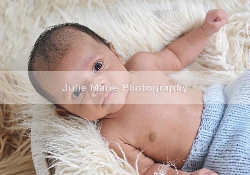 DSC_0969 - Taran