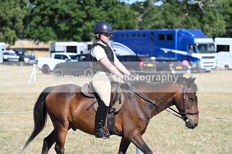 WJ7_2028 - Class 44 Child's Best Friend