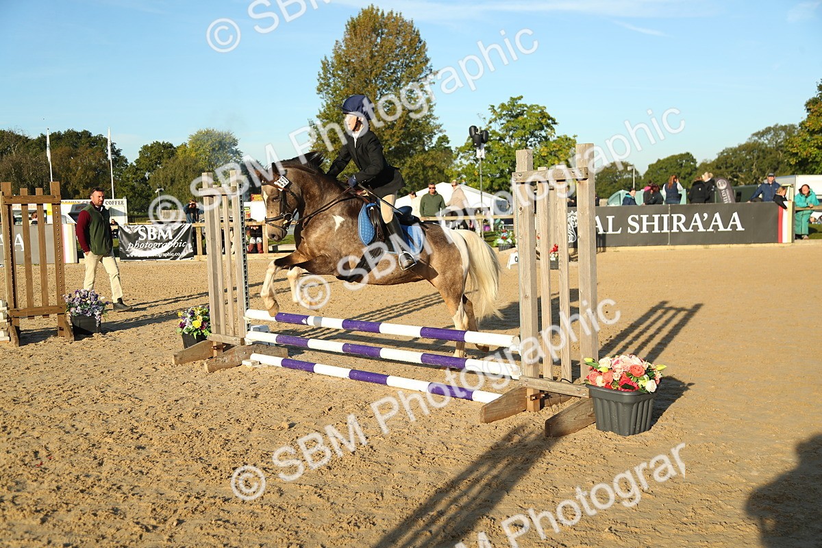 SBM_34874 - J5 - Junior Pony 50cm Championship