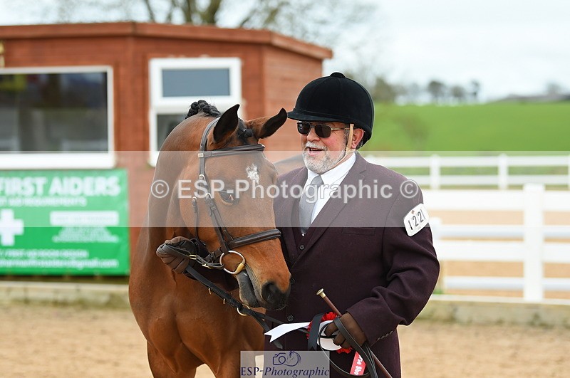 230416A-140820-04749 - Cls 46+43 In Hand Warmbloods and Foreign