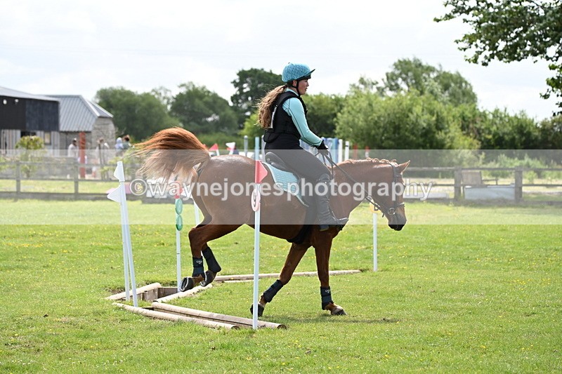 WJ6_2590 - Class 2 40cm