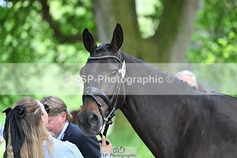 250521A-153154-00574 - B-316-Jasmine.Holmes-ARENT.I.LUCKY