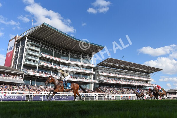 yr20082022r7-29 - Race 7 5.20pm Sky Bet Finale Stakes