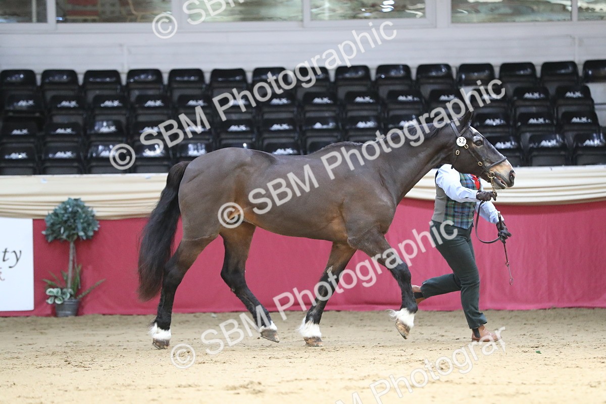 SBM_04322 - Class 7R Regional - IH Diamond