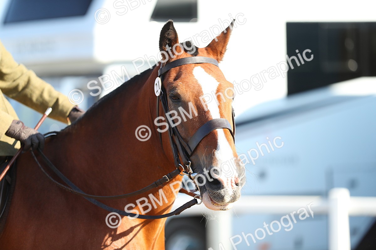 SBM_00427 - Class 41 Best Turned Out Ridden