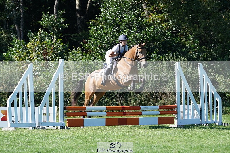 240811A-162050-06260 - 461-