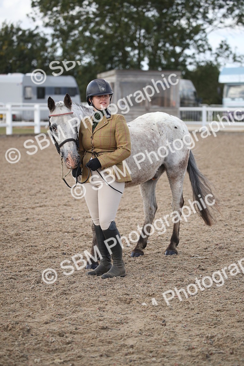 SBM_23434 - Class 604 - 2026 - Area IH Diamond